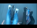 link=http://www.youtube.com/watch?v=Doc7QmWHwyw Bango