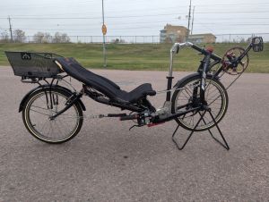 Tensile Python Pic.4